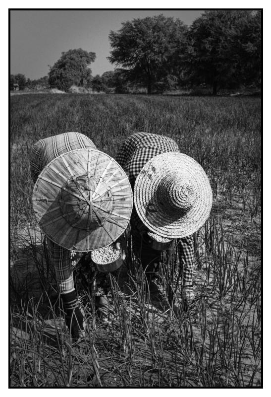 Myanmar