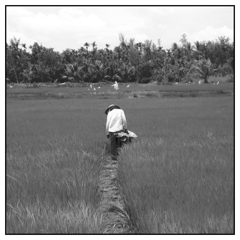 Viet NamHOI AN