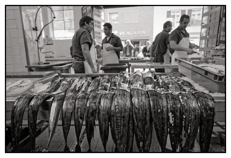 Madeire 015 web