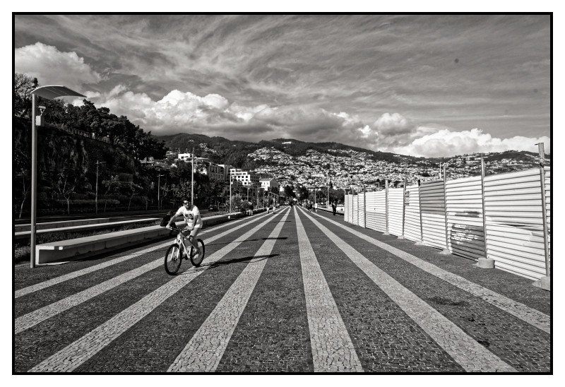 Madeire 113 web