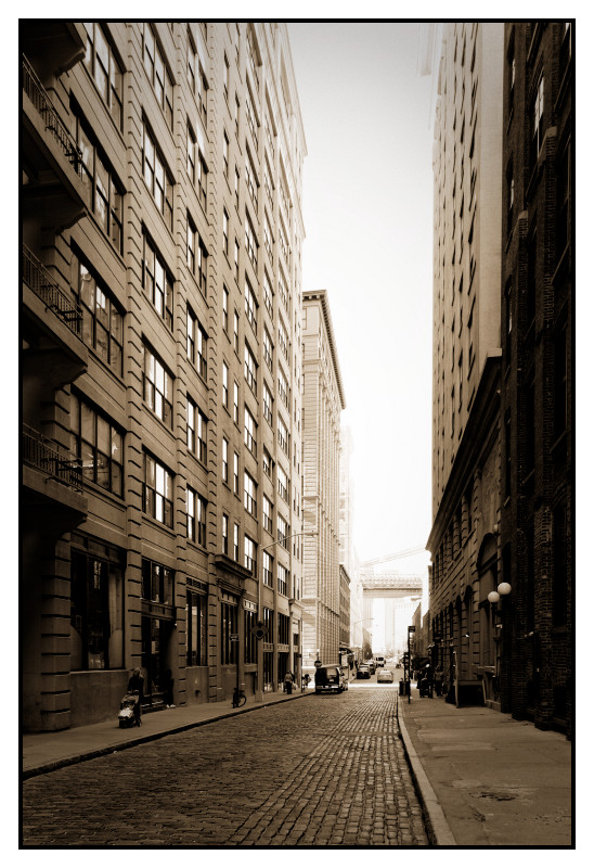 New York 321 web