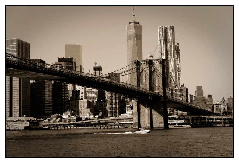 New York 336 web