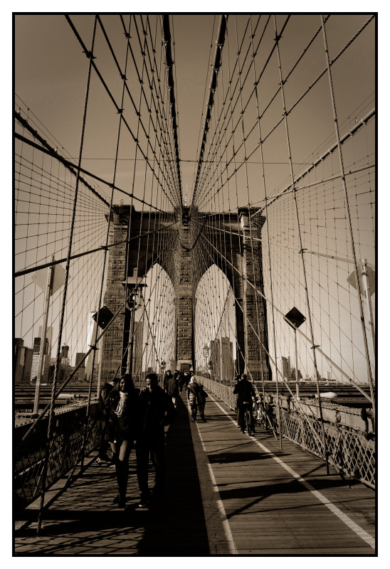 New York 381 web