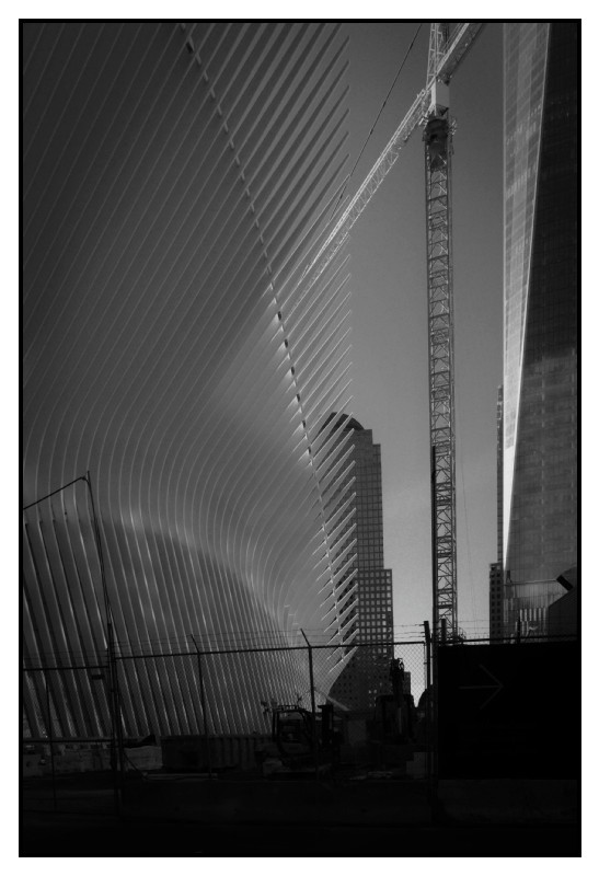 New York 406 web