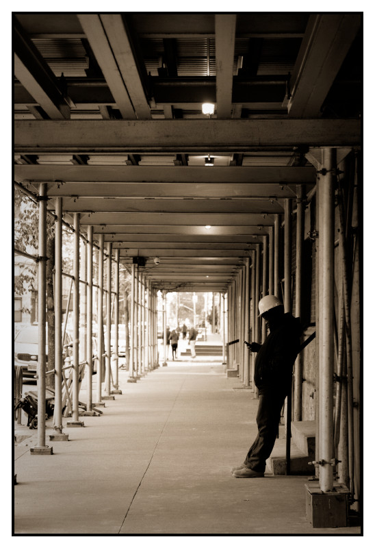 New York 446 web
