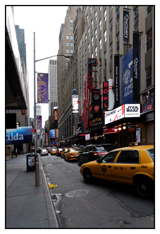 New York 502 web