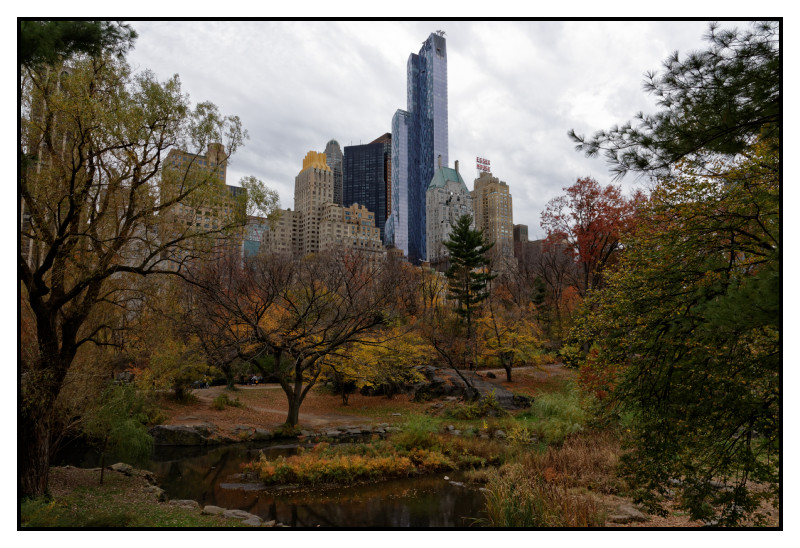 New York 542 web