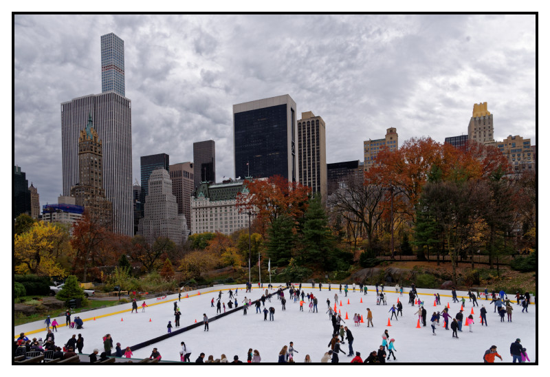 New York 551 web