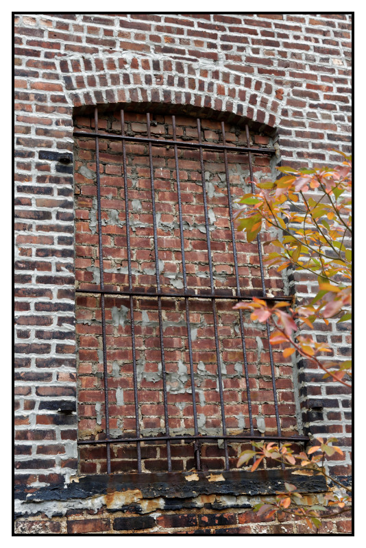 New York 618 web