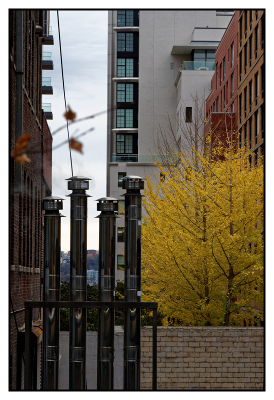 New York 636 web