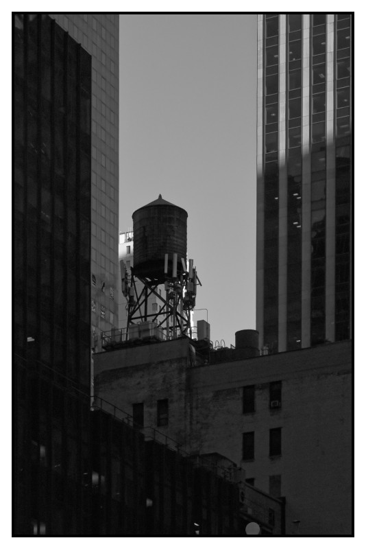 New York 750 web