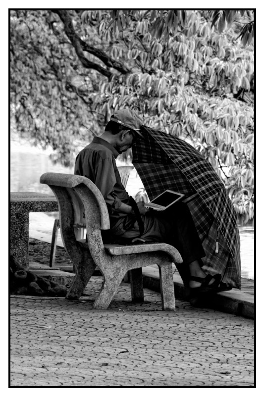 VN 2012 0020 web