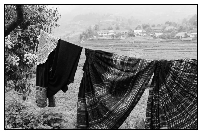 VN 2012 0507 web
