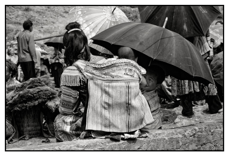 VN 2012 0509 web