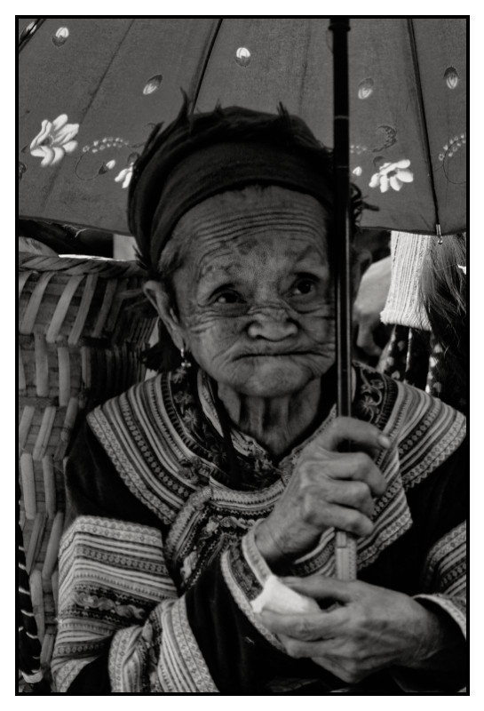 VN 2012 0555 web