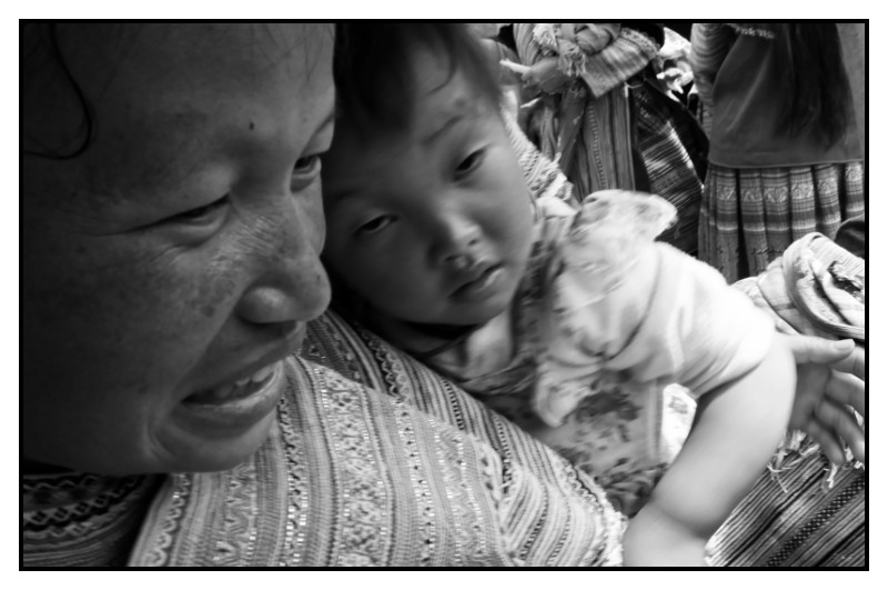 VN 2012 0657 web