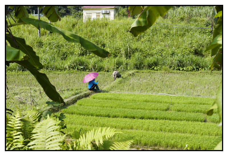 Vietnam 2018 0314 web