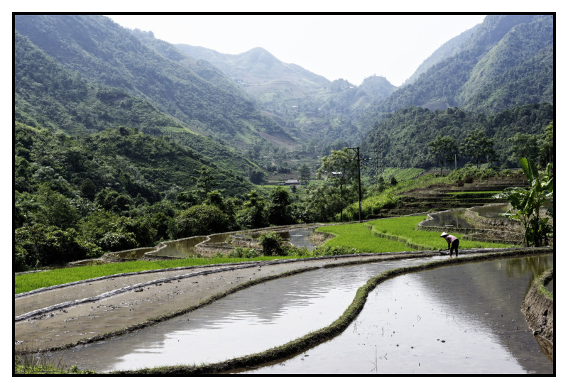 Vietnam 2018 0334 web