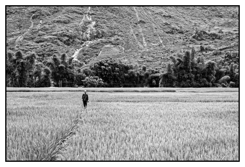 Vietnam 2018 0468 web