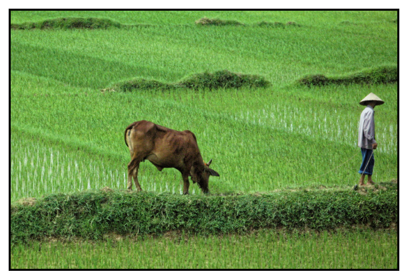 baie-d-along 0247 web
