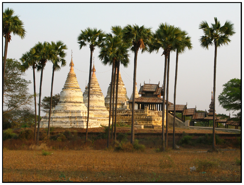 birmanie-2008 1359