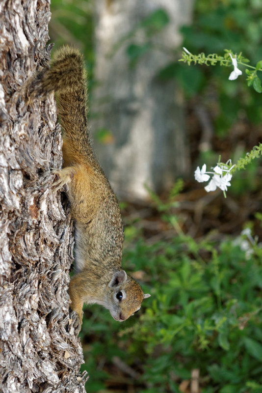 Namibie_0011_web