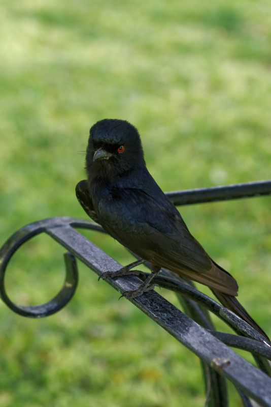 Namibie_0012_web