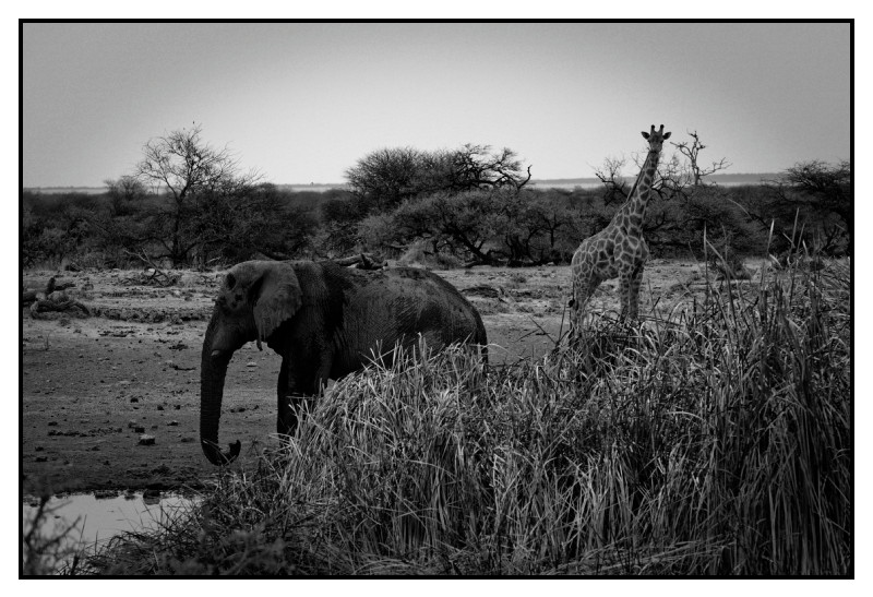 Namibie_0090_web