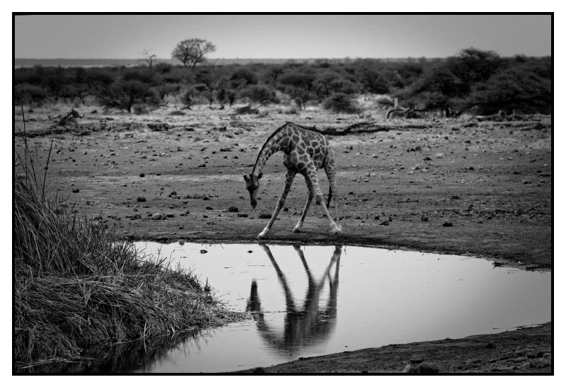 Namibie_0095_web