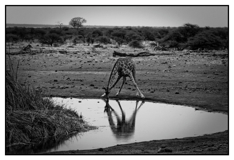 Namibie_0098_web