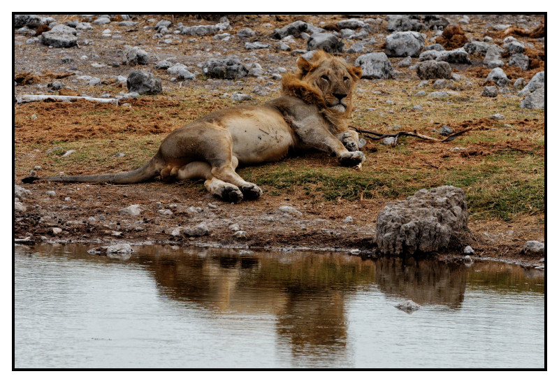 Namibie_0148_web