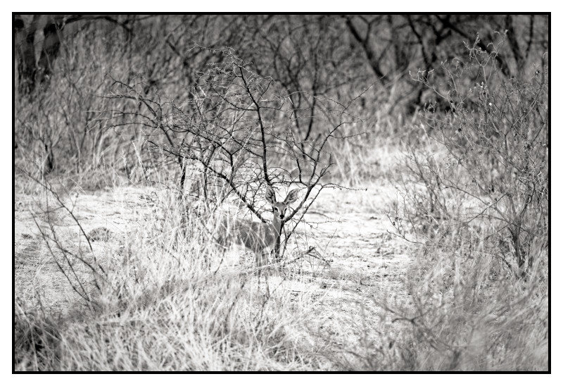 Namibie_0161_web