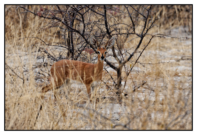 Namibie_0162_web