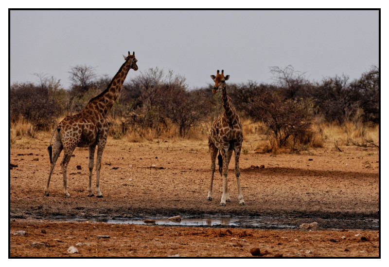Namibie_0167_web