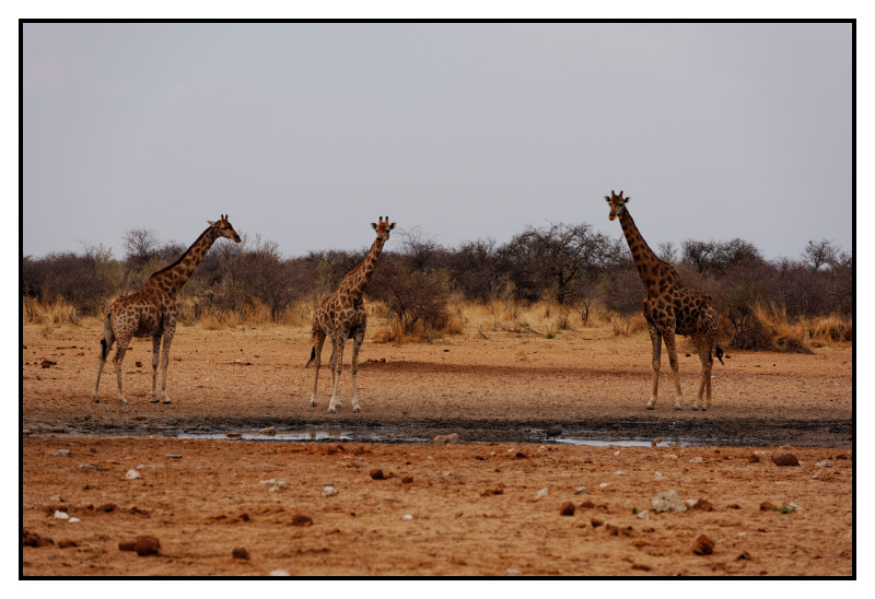 Namibie_0170_web