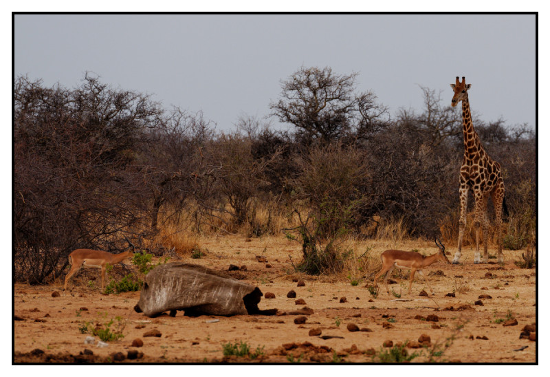 Namibie_0173_web