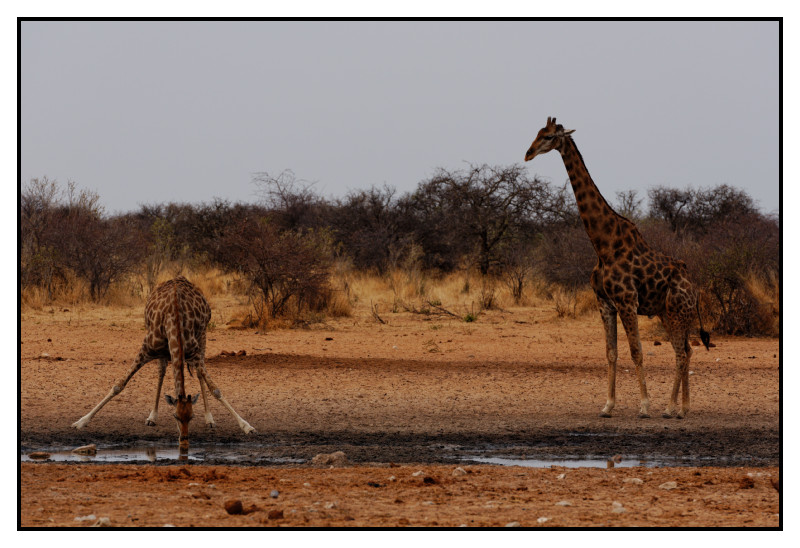 Namibie_0176_web