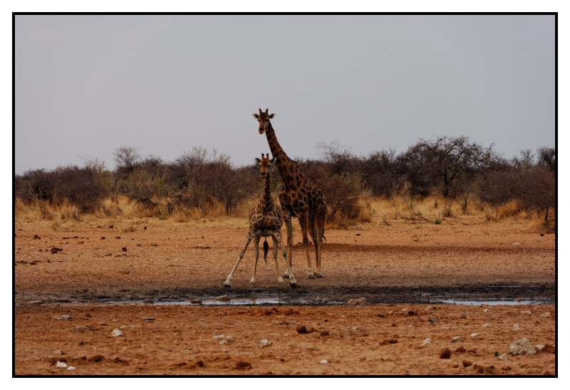 Namibie_0182_web