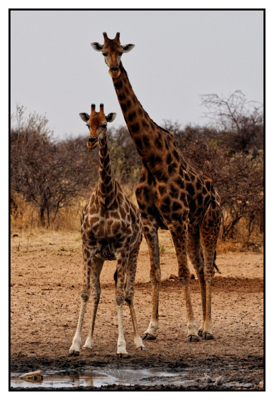 Namibie_0183_web