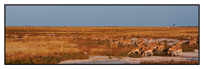 Namibie_0221_web