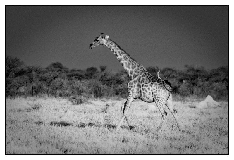 Namibie_0231_web