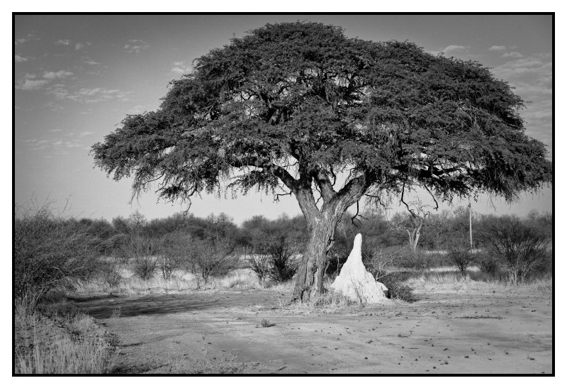 Namibie_0258_web