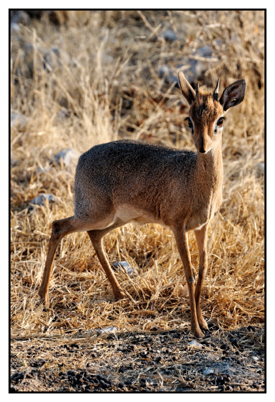 Namibie_0263_web
