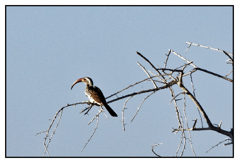 Namibie_0265_web