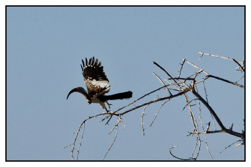 Namibie_0269_web