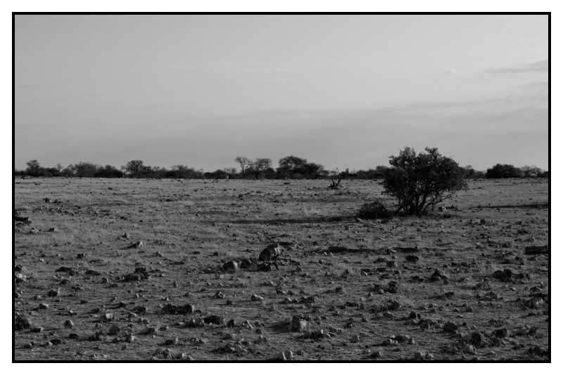 Namibie_0274_web
