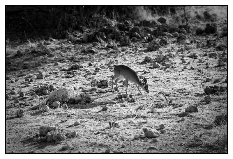 Namibie_0284_web