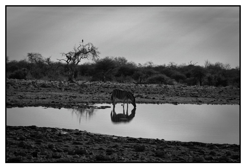 Namibie_0293_web
