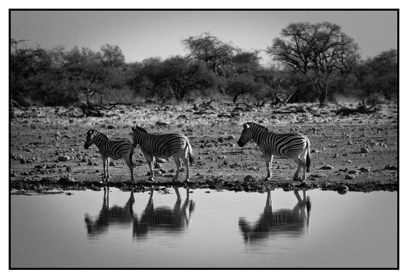 Namibie_0296_web