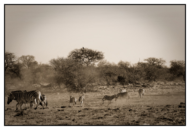 Namibie_0306_web